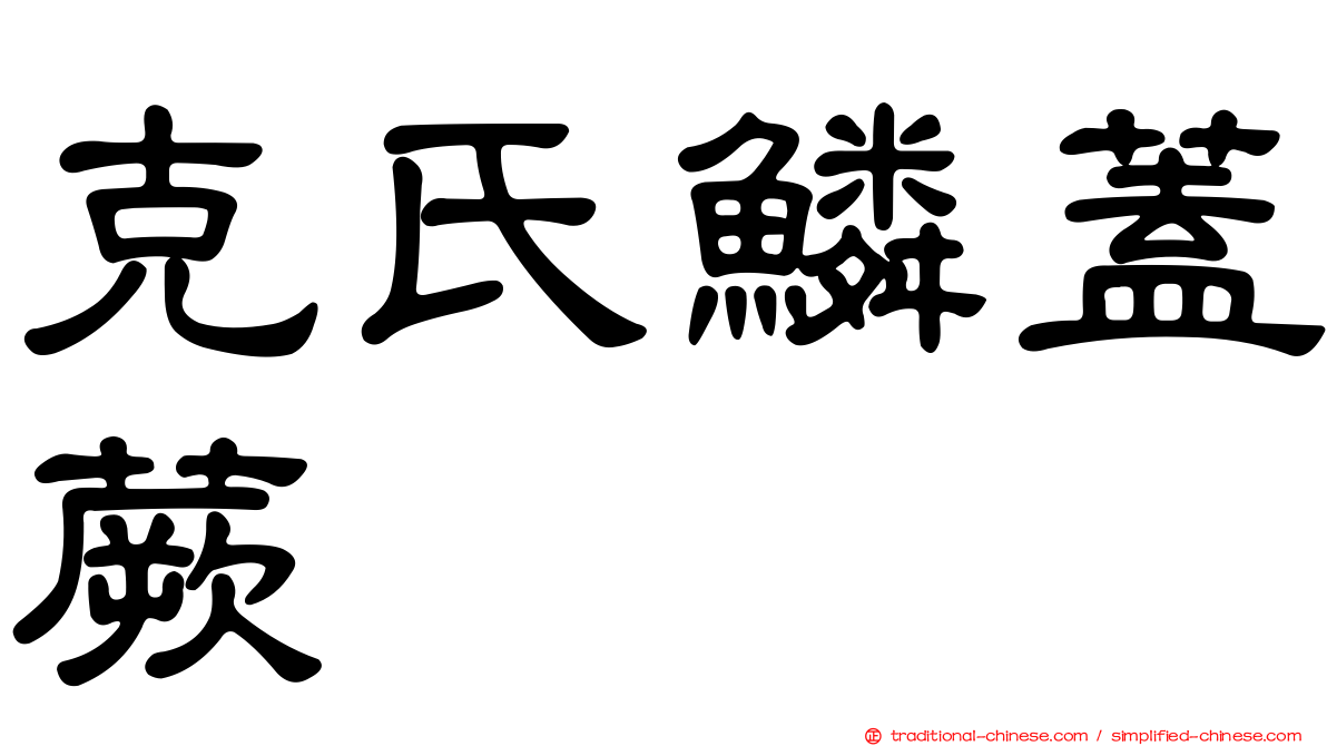 克氏鱗蓋蕨