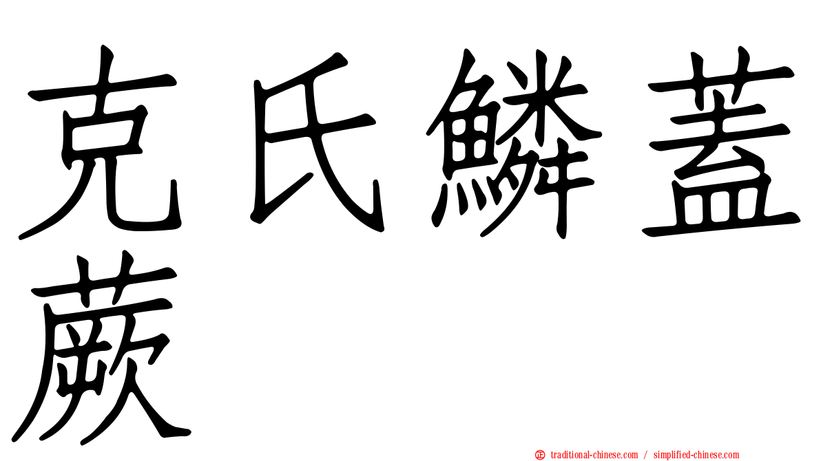 克氏鱗蓋蕨