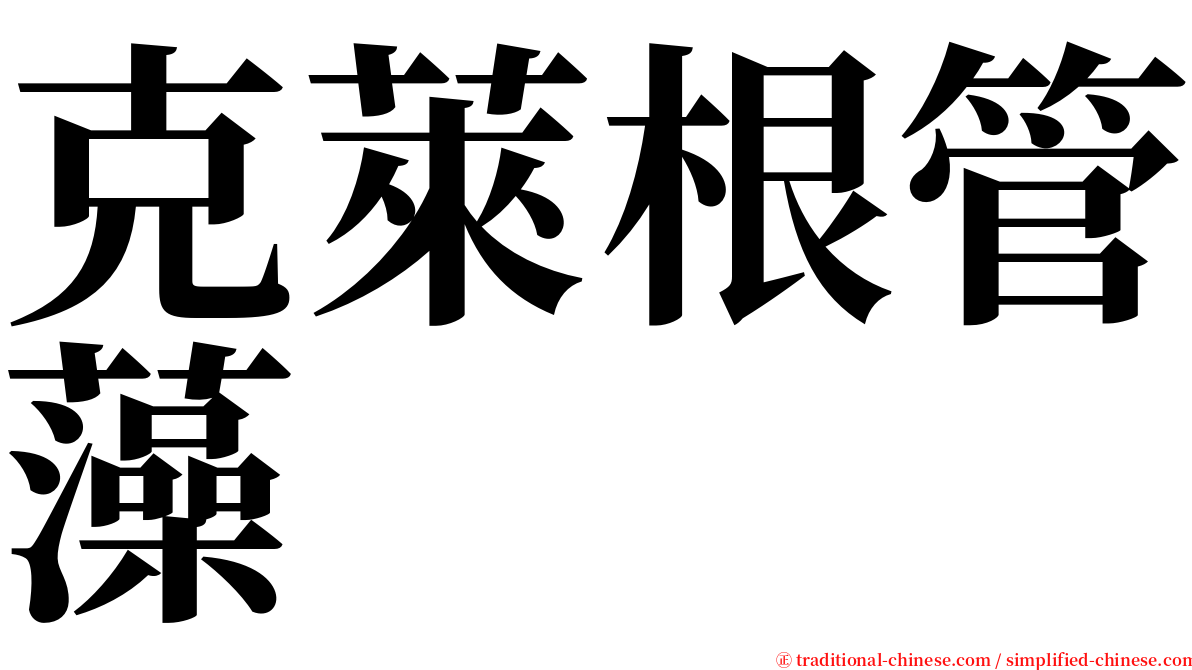 克萊根管藻 serif font