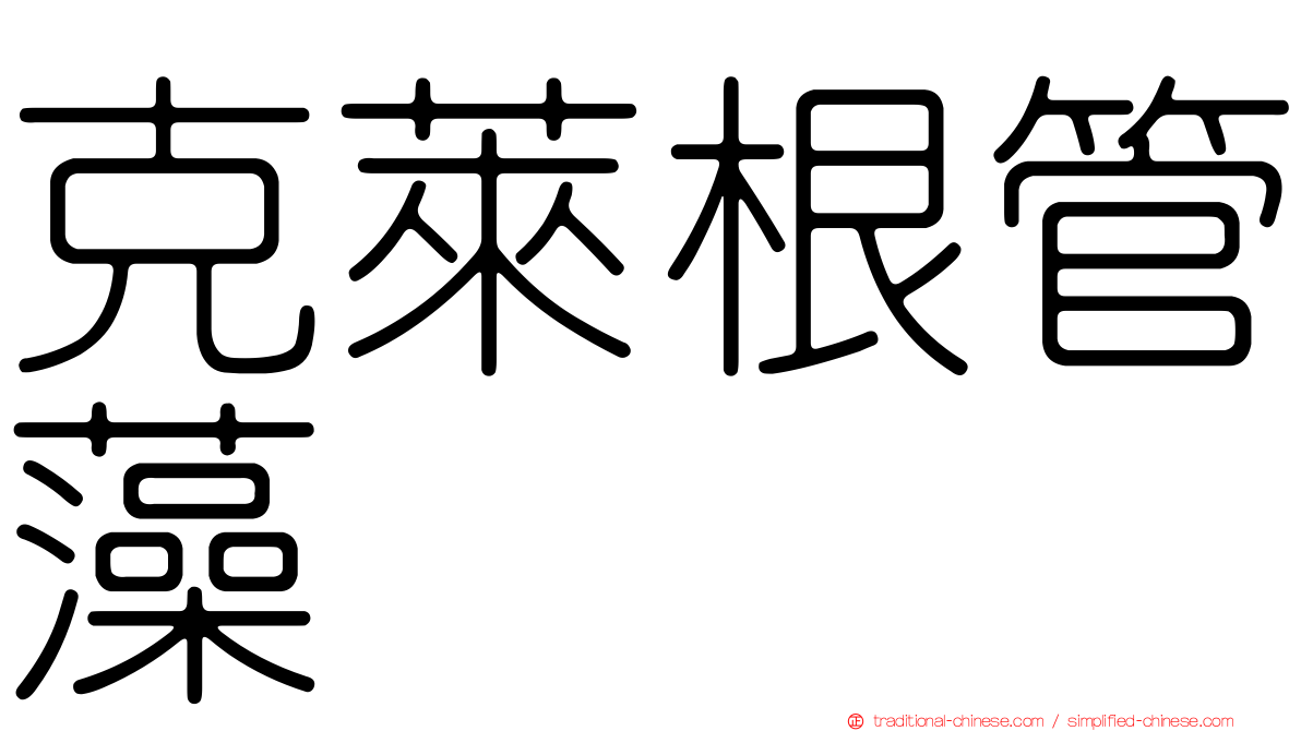 克萊根管藻