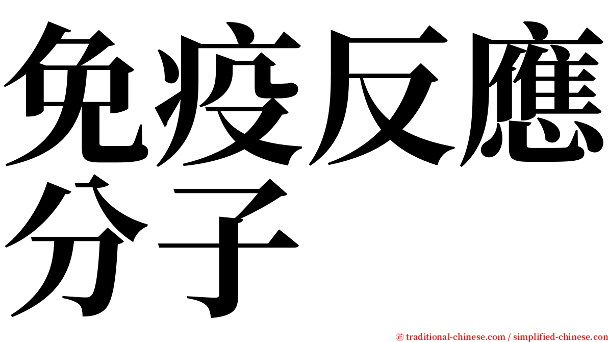 免疫反應分子 serif font