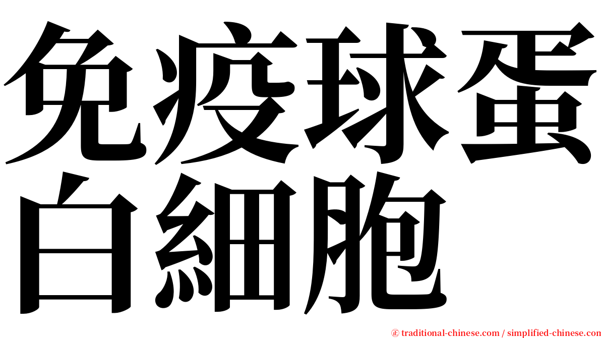 免疫球蛋白細胞 serif font