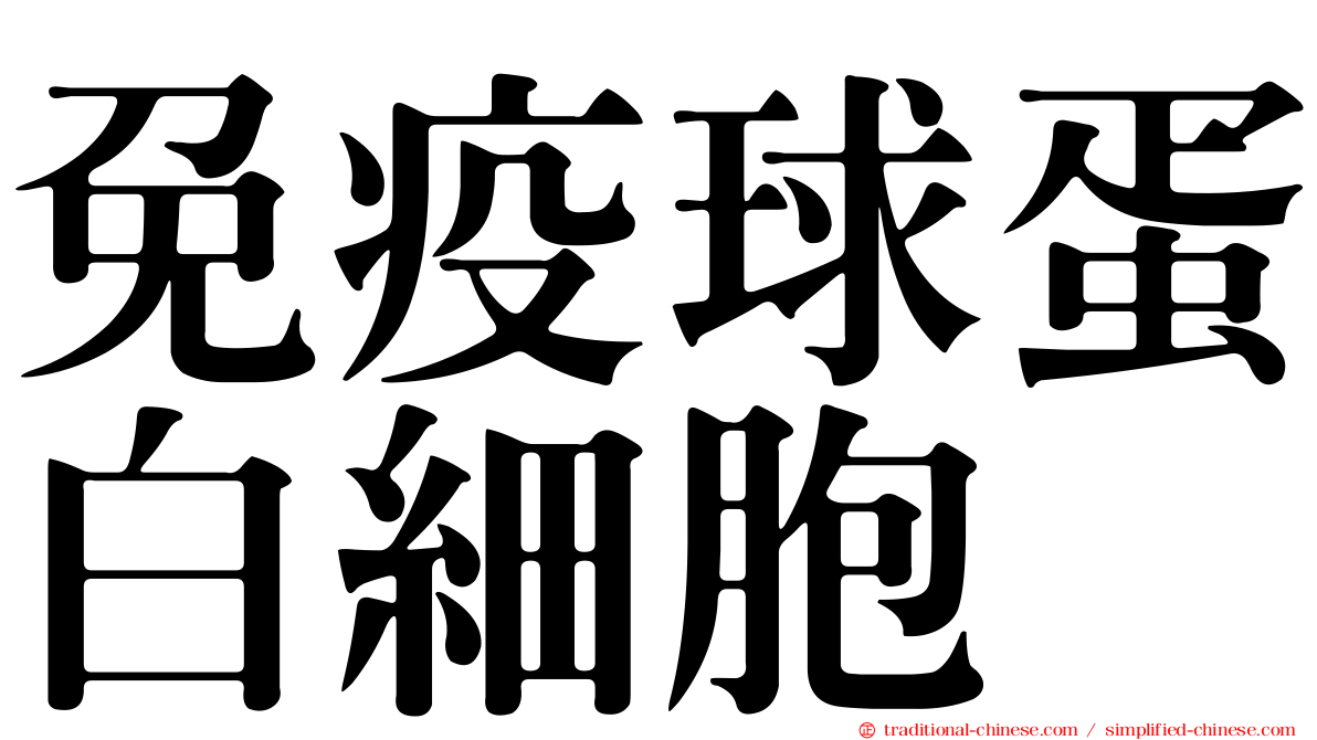 免疫球蛋白細胞