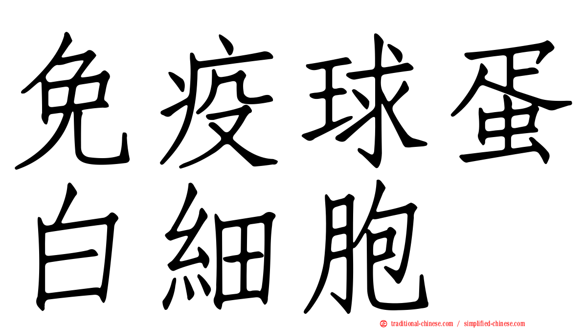 免疫球蛋白細胞