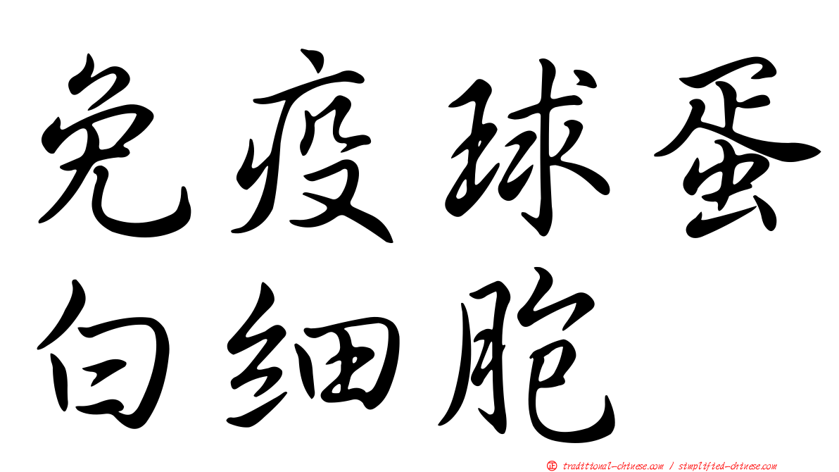 免疫球蛋白細胞