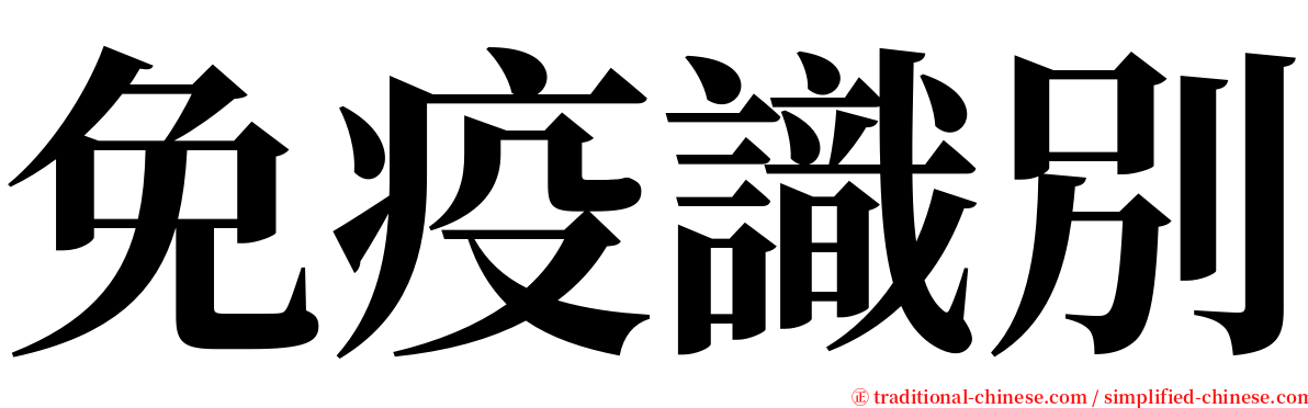 免疫識別 serif font
