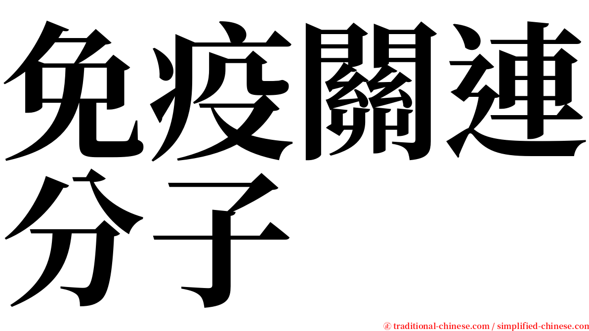 免疫關連分子 serif font