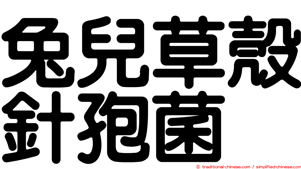 兔兒草殼針孢菌