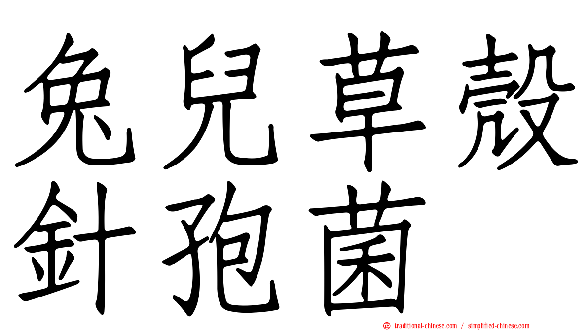 兔兒草殼針孢菌
