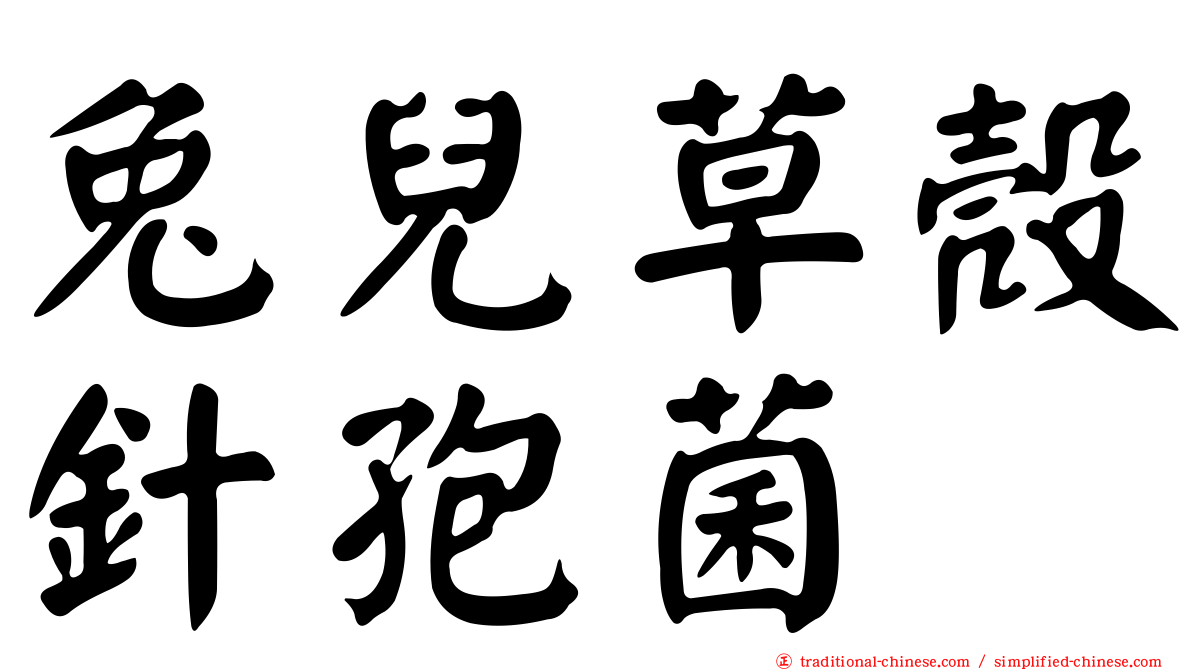兔兒草殼針孢菌