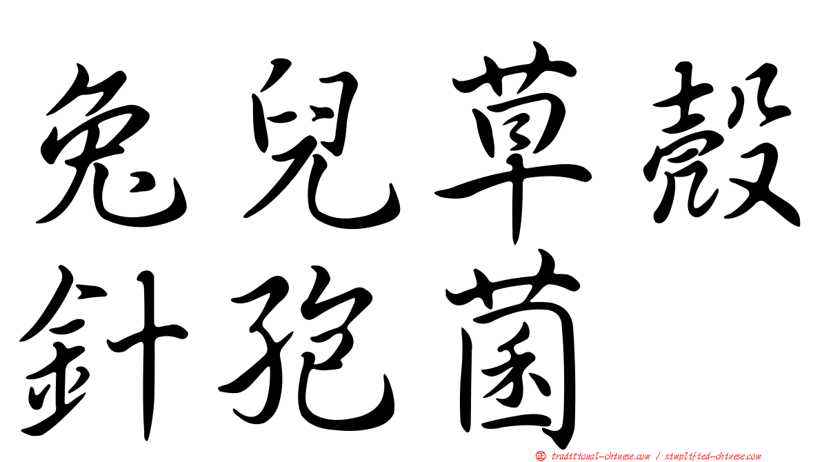 兔兒草殼針孢菌