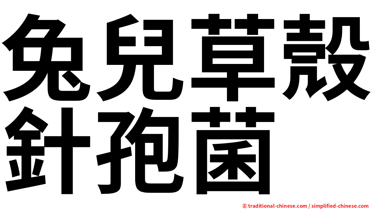 兔兒草殼針孢菌