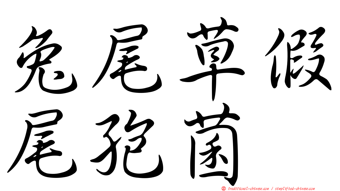兔尾草假尾孢菌