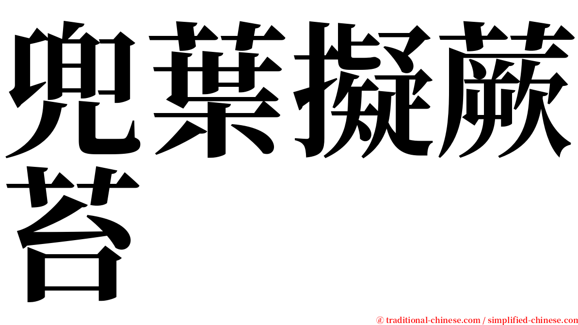 兜葉擬蕨苔 serif font