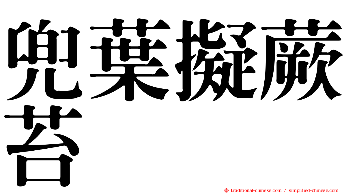 兜葉擬蕨苔