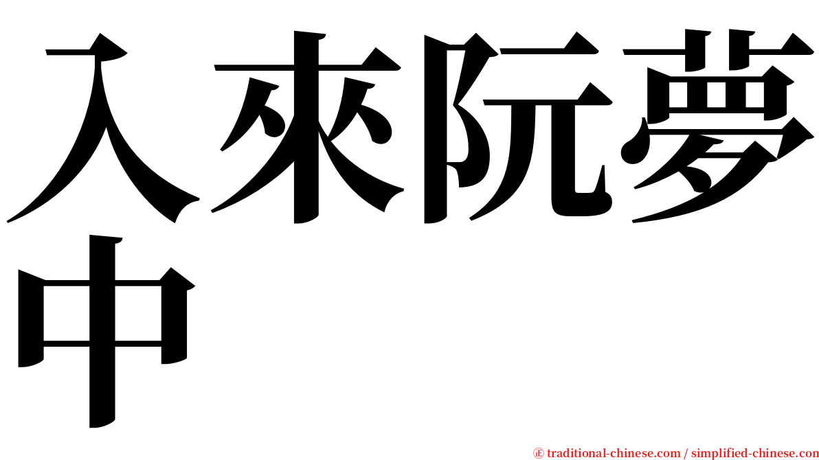 入來阮夢中 serif font