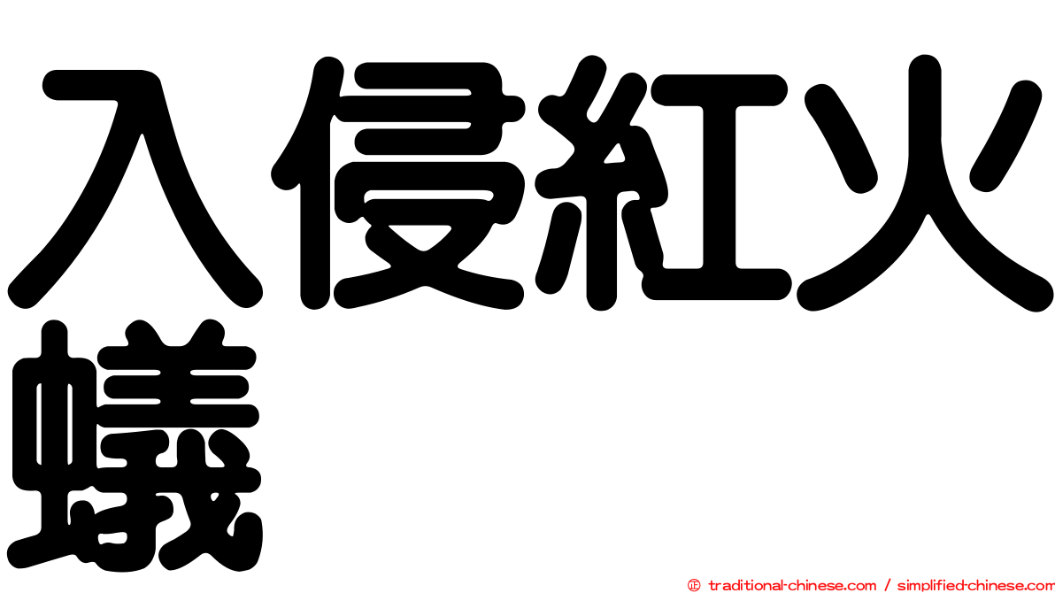 入侵紅火蟻