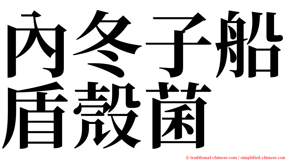 內冬子船盾殼菌 serif font