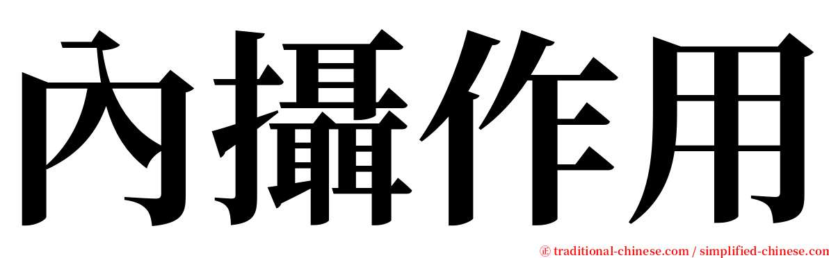 內攝作用 serif font