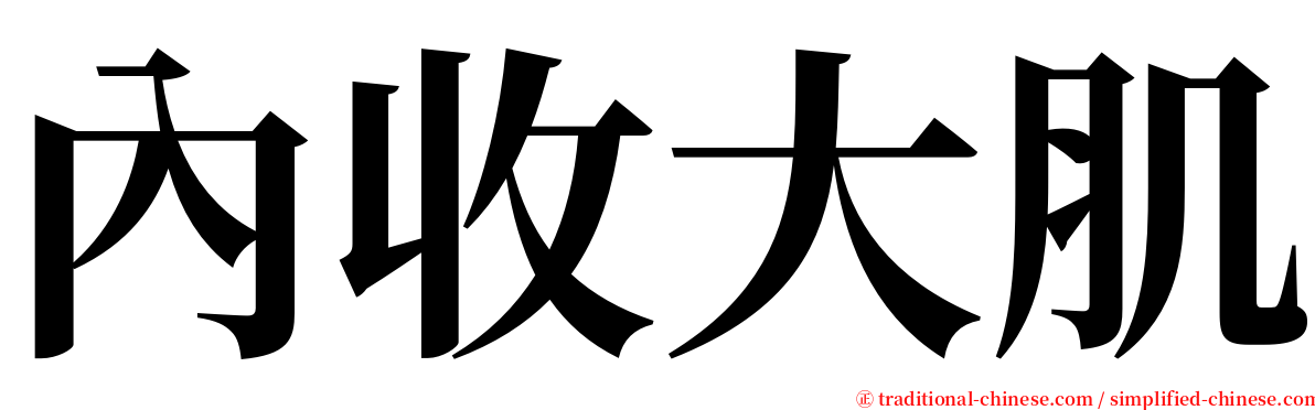內收大肌 serif font