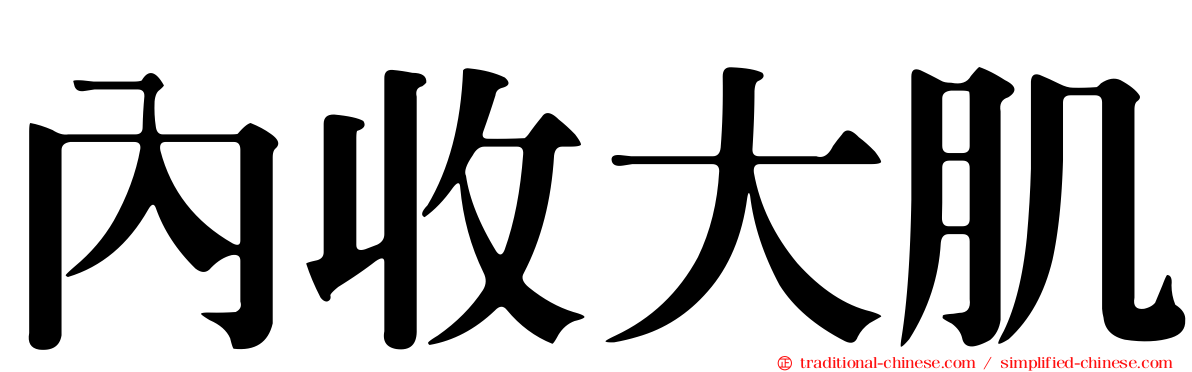 內收大肌