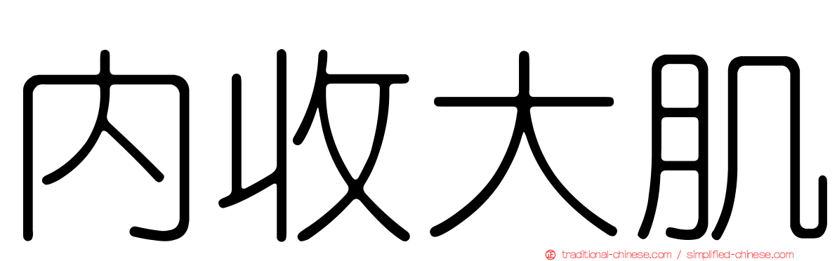 內收大肌