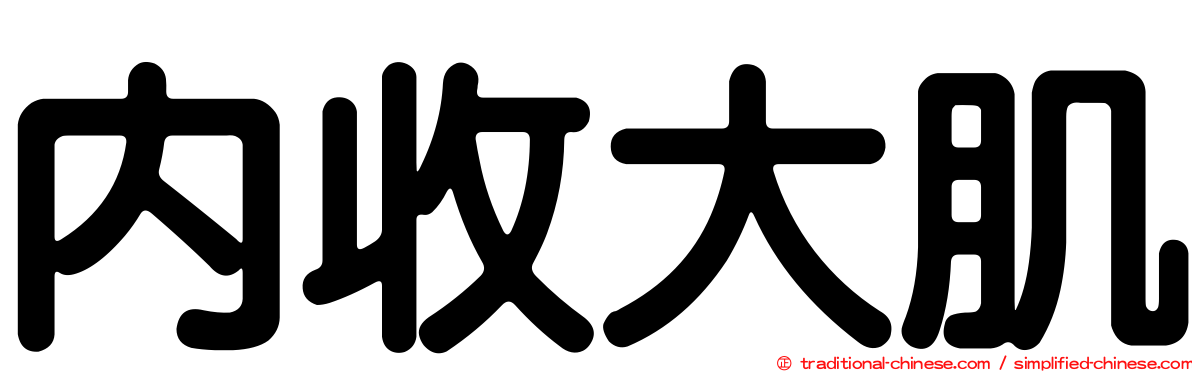 內收大肌