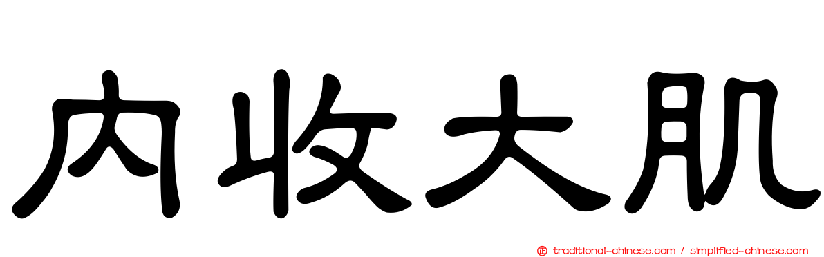 內收大肌