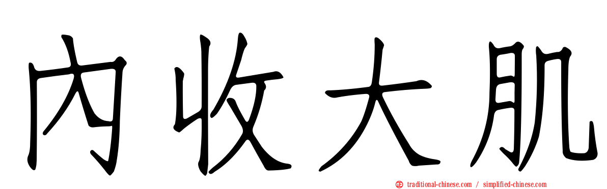 內收大肌