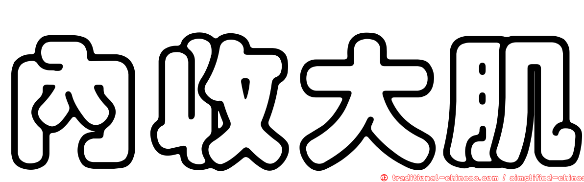 內收大肌