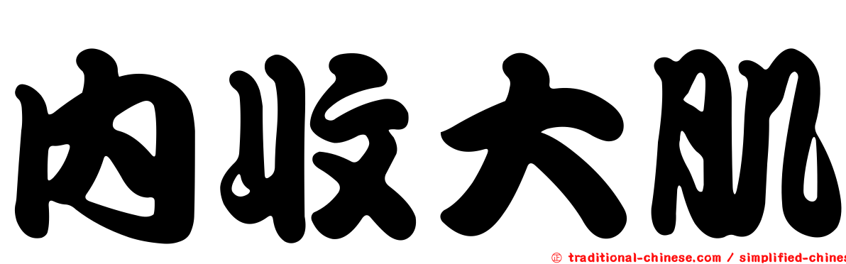 內收大肌