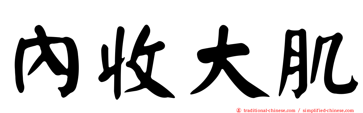 內收大肌