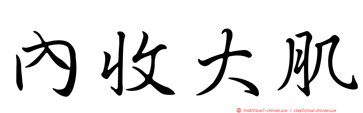 內收大肌