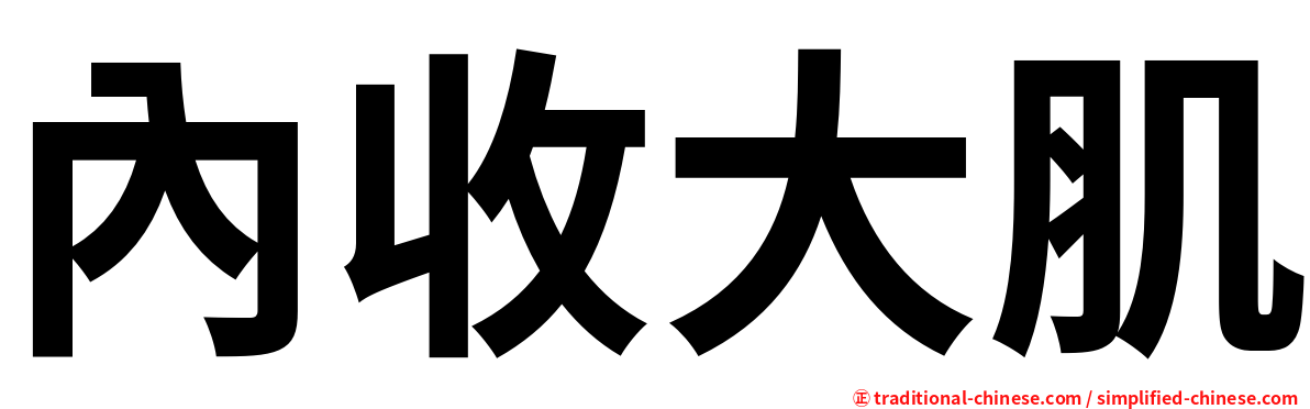 內收大肌