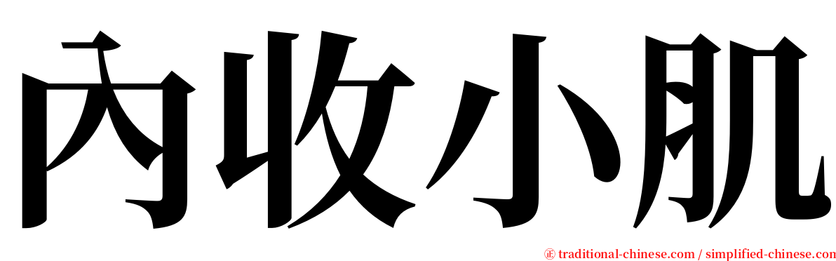 內收小肌 serif font