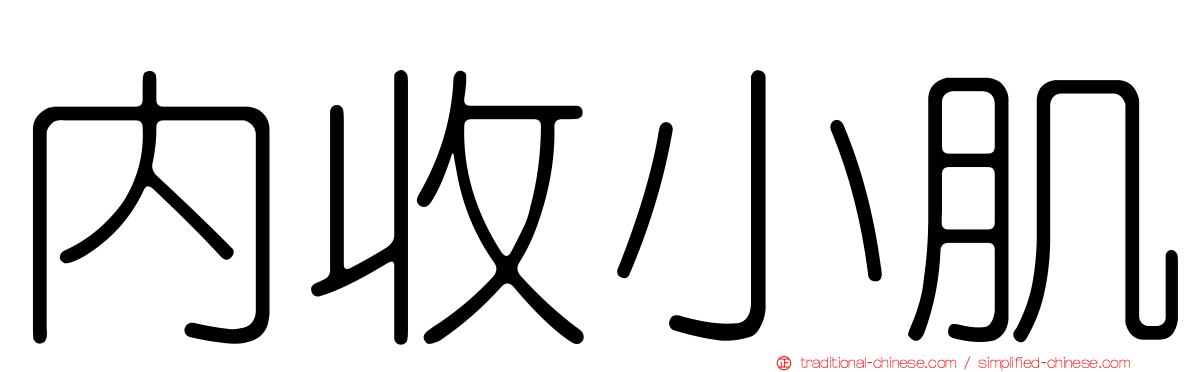 內收小肌