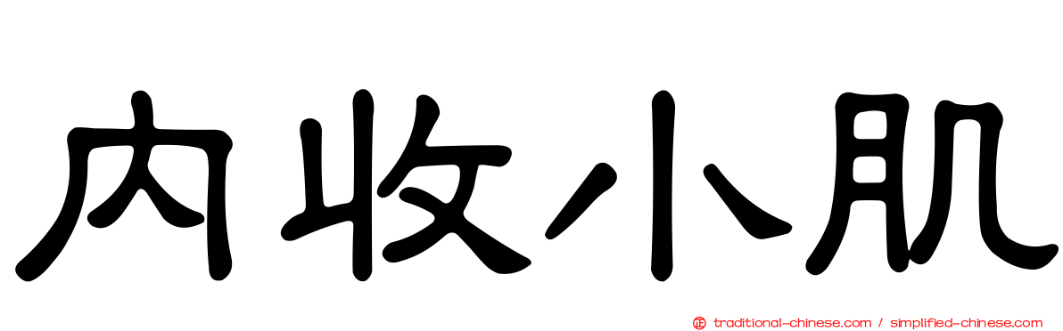 內收小肌