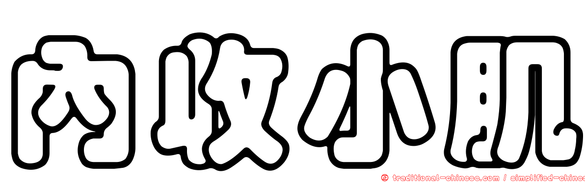 內收小肌