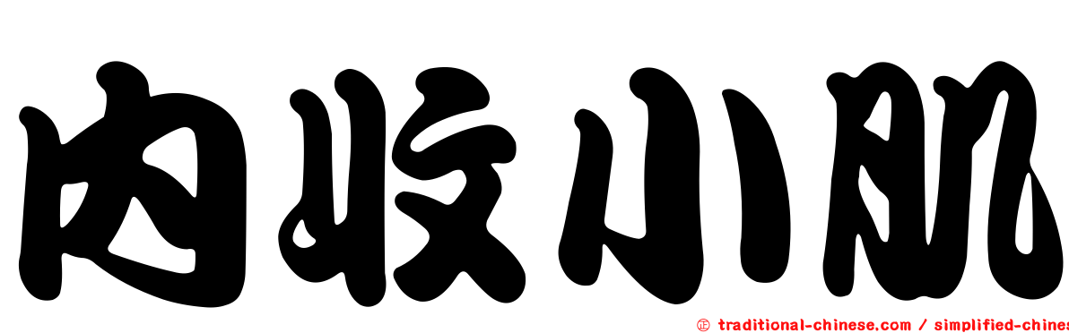 內收小肌
