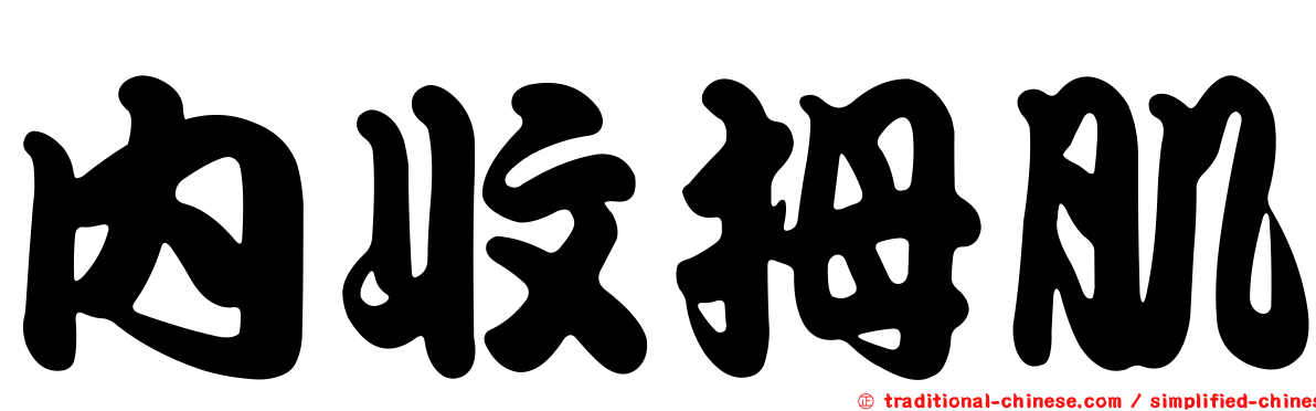 內收拇肌