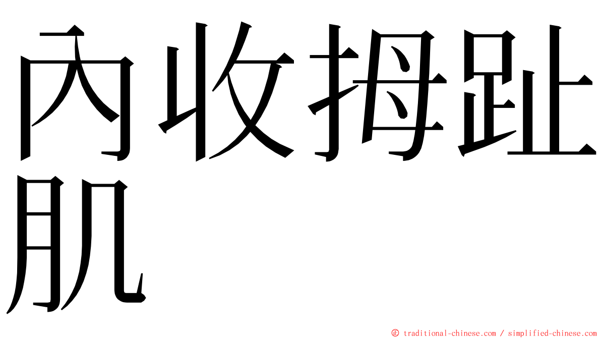 內收拇趾肌 ming font