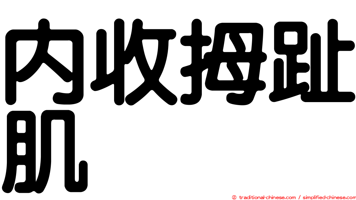 內收拇趾肌