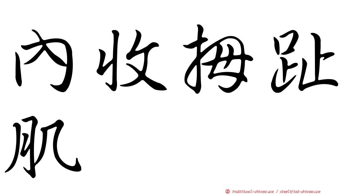內收拇趾肌