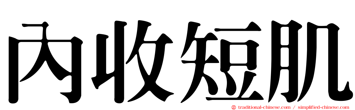 內收短肌