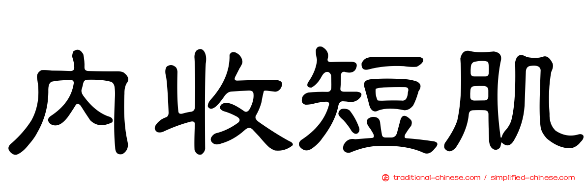 內收短肌