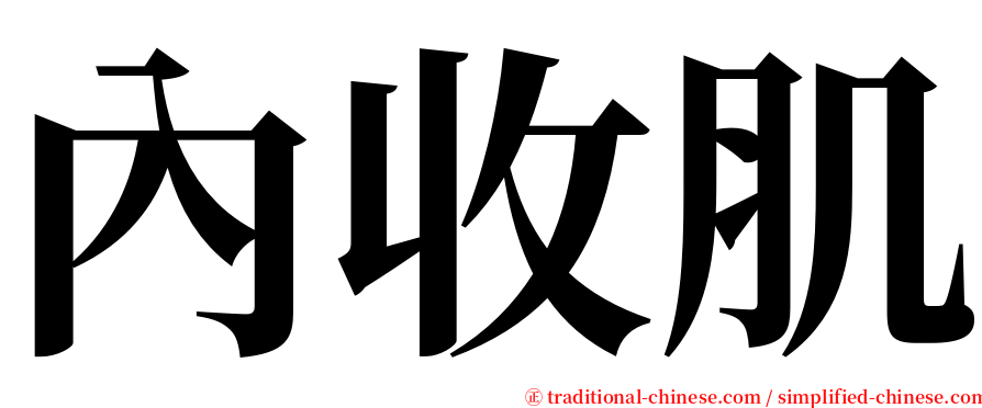 內收肌 serif font