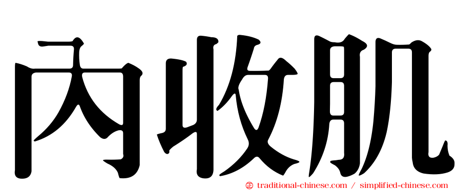 內收肌