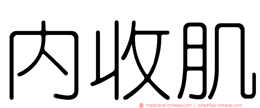 內收肌