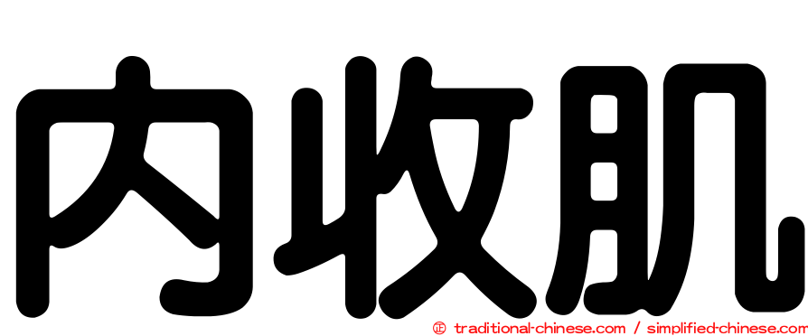 內收肌