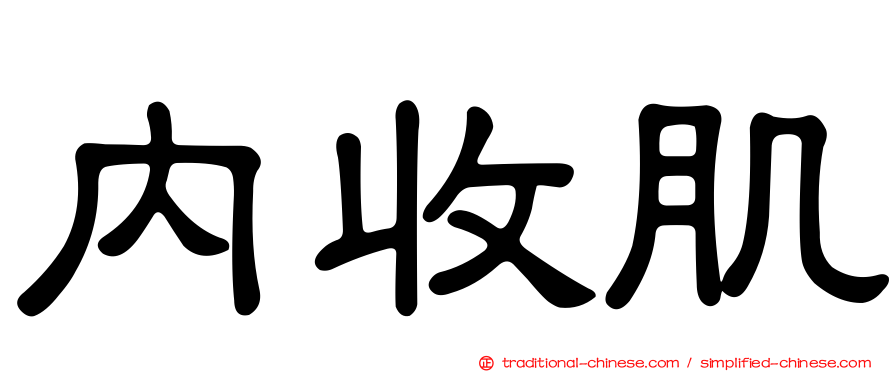 內收肌